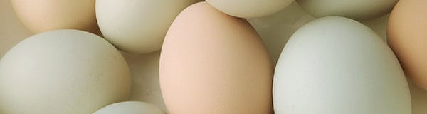 La carenza di vitamina D aumenta il rischio di mortalità per gli anziani